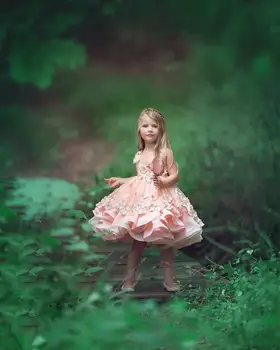 Pink Ruffled Flower Girl Dress For Weddings Sleeveless Appliques Kids First Communion Lovely Girl Pageant Formal Dresses
Pink Ruffled Flower Girl Dress For Weddings Sleeveless Appliques Kids First Communion Lovely Girl Pageant Formal Dresses