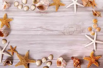 SHENGYONGBAO Vinyl Custom Photography Backdrops Prop Wood Planks theme Photo Studio Background XH19910-3117
SHENGYONGBAO Vinyl Custom Photography Backdrops Prop Wood Planks theme Photo Studio Background XH19910-3117