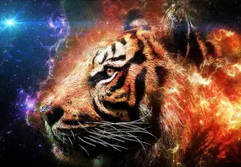 Div 5D Tiger Space Galaxy Light Outspace Full Diamond Painting cross stitch kits art Animal 3D paint by diamonds
Div 5D Tiger Space Galaxy Light Outspace Full Diamond Painting cross stitch kits art Animal 3D paint by diamonds