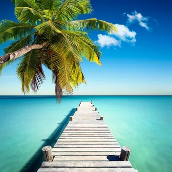 Landscape of sea photo backgrounds vinyl newborns portrait beach wear shop photography backdrops for photo studio props LV-1865 
Landscape of sea photo backgrounds vinyl newborns portrait beach wear shop photography backdrops for photo studio props LV-1865