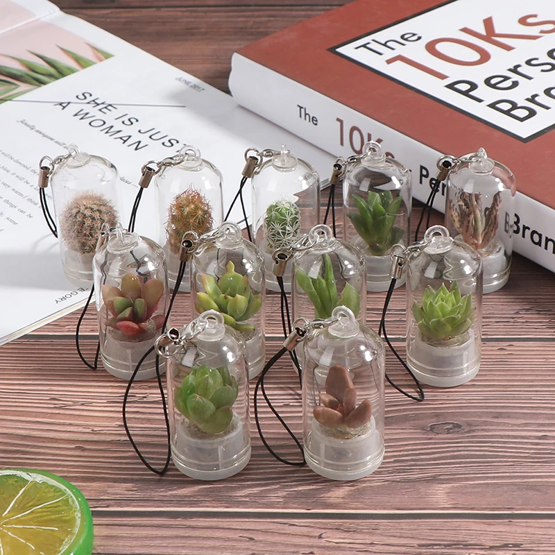 Cactus Miniature Succulent Cactus Terrarium Wearable Necklace Live DIY Succulent Plant Pendant 2.5*5cm Random Style
Cactus Miniature Succulent Cactus Terrarium Wearable Necklace Live DIY Succulent Plant Pendant 2.5*5cm Random Style