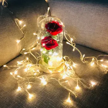 Dropshipping 2 Roses Glass Cover With Light Decoration LED Night Light Birthday Party Decoration Valentine's Day Gifts
Dropshipping 2 Roses Glass Cover With Light Decoration LED Night Light Birthday Party Decoration Valentine's Day Gifts