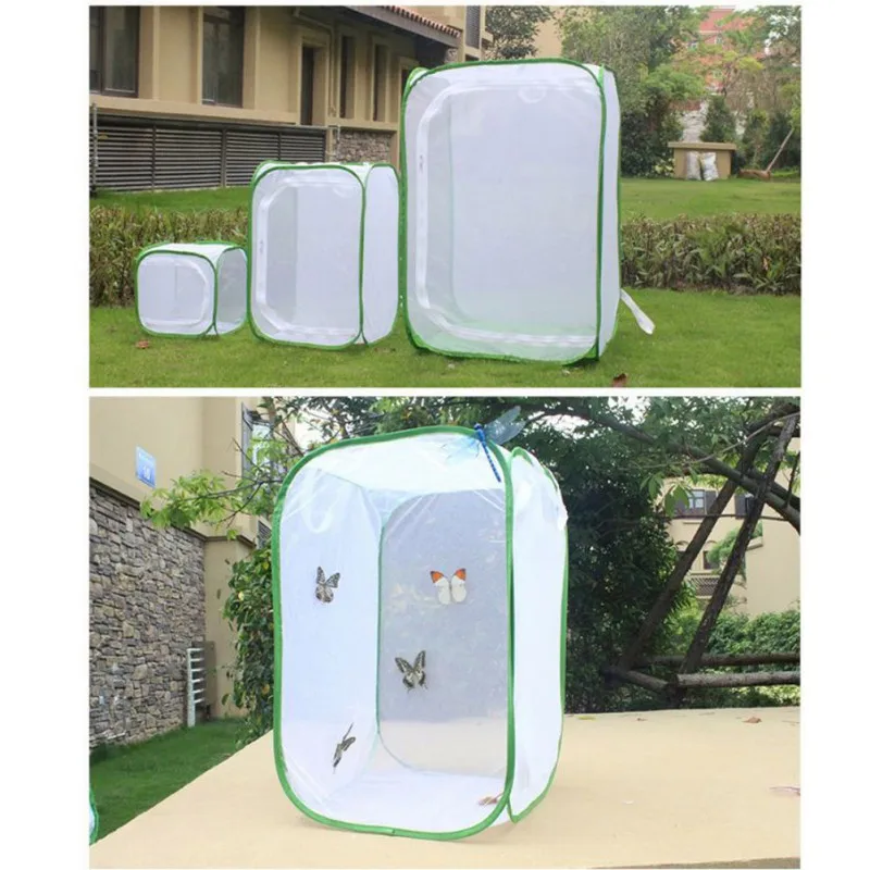 Portable Collapsible Ant Box Insect Proof Butterfly Habitat Cage Zipper Transparent Plant Seedlings Incubator Box
Portable Collapsible Ant Box Insect Proof Butterfly Habitat Cage Zipper Transparent Plant Seedlings Incubator Box