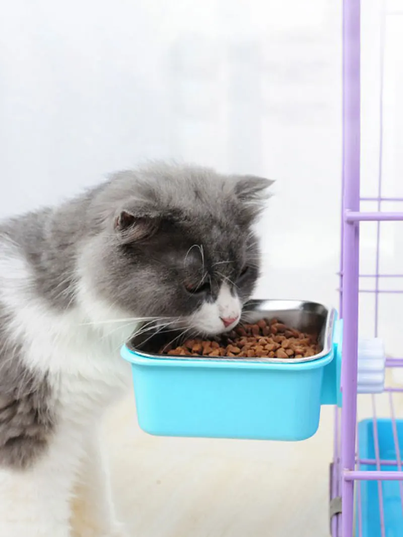 Pet Dog Cat Hanging Feeding Bowl Fixed Stainless Steel Feeder For Cage Removable Easy Cleaning Food Water Bowl Pet Feeder Supply
Pet Dog Cat Hanging Feeding Bowl Fixed Stainless Steel Feeder For Cage Removable Easy Cleaning Food Water Bowl Pet Feeder Supply