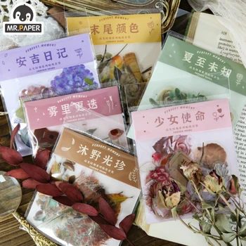 Mr.paper 6 Designs 40Pcs/lot Coloful Plants Deco Washi Diary Stickers Scrapbooking Planner Bullet Journal Doodling Stationery
Mr.paper 6 Designs 40Pcs/lot Coloful Plants Deco Washi Diary Stickers Scrapbooking Planner Bullet Journal Doodling Stationery