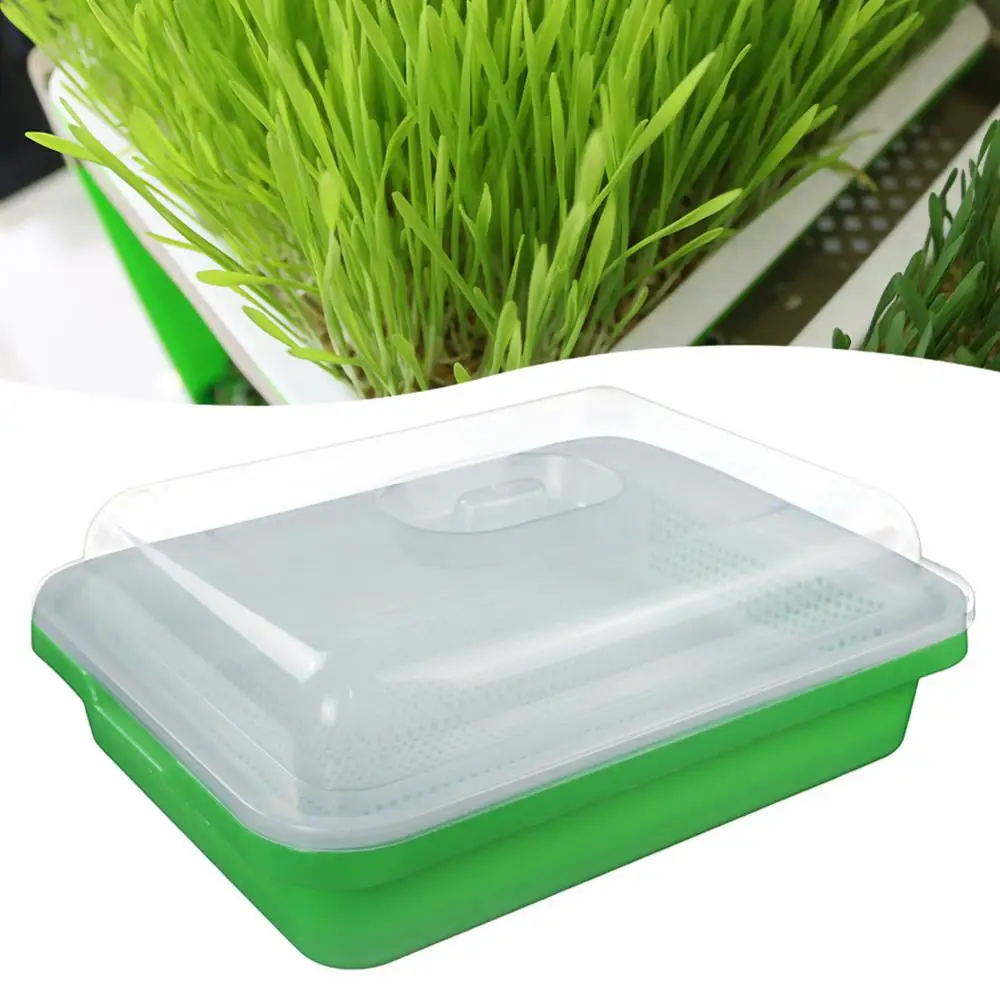 Thicken and Deepen Sprouts Planting Plate with Moisturizing Insulation Cover Double Encryption Seedling Plate Sprouts
Thicken and Deepen Sprouts Planting Plate with Moisturizing Insulation Cover Double Encryption Seedling Plate Sprouts