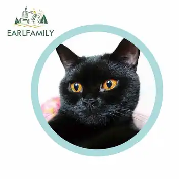 EARLFAMILY 13cm x 13cm For Cool Cat DIY Motorcycle Car Stickers Sunscreen Fine Decal Car Accessories Graffiti Decoration
EARLFAMILY 13cm x 13cm For Cool Cat DIY Motorcycle Car Stickers Sunscreen Fine Decal Car Accessories Graffiti Decoration