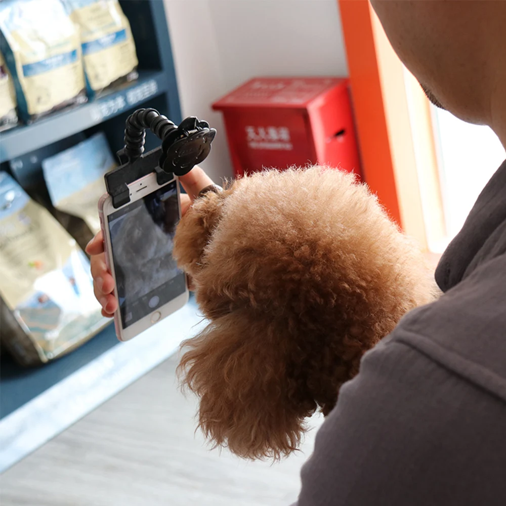 Pet Selfie Stick Dog Cat Photo Training Toy Camera Phone Clip Self-Timer Artifact Toy Tablet Pet Selfie Stick Pet Photography
Pet Selfie Stick Dog Cat Photo Training Toy Camera Phone Clip Self-Timer Artifact Toy Tablet Pet Selfie Stick Pet Photography