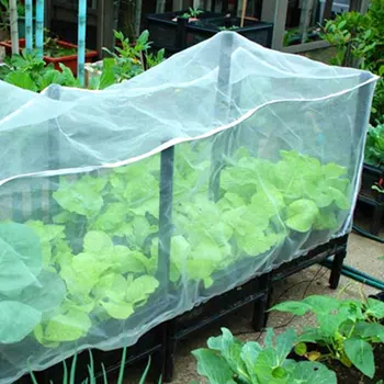 Greenhouse Protective Net Fruit Vegetables Care Cover Insect Net Plant Covers Net Garden Pest Control Anti-bird Mesh Net Apr29
Greenhouse Protective Net Fruit Vegetables Care Cover Insect Net Plant Covers Net Garden Pest Control Anti-bird Mesh Net Apr29