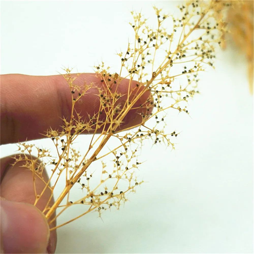 model grass06