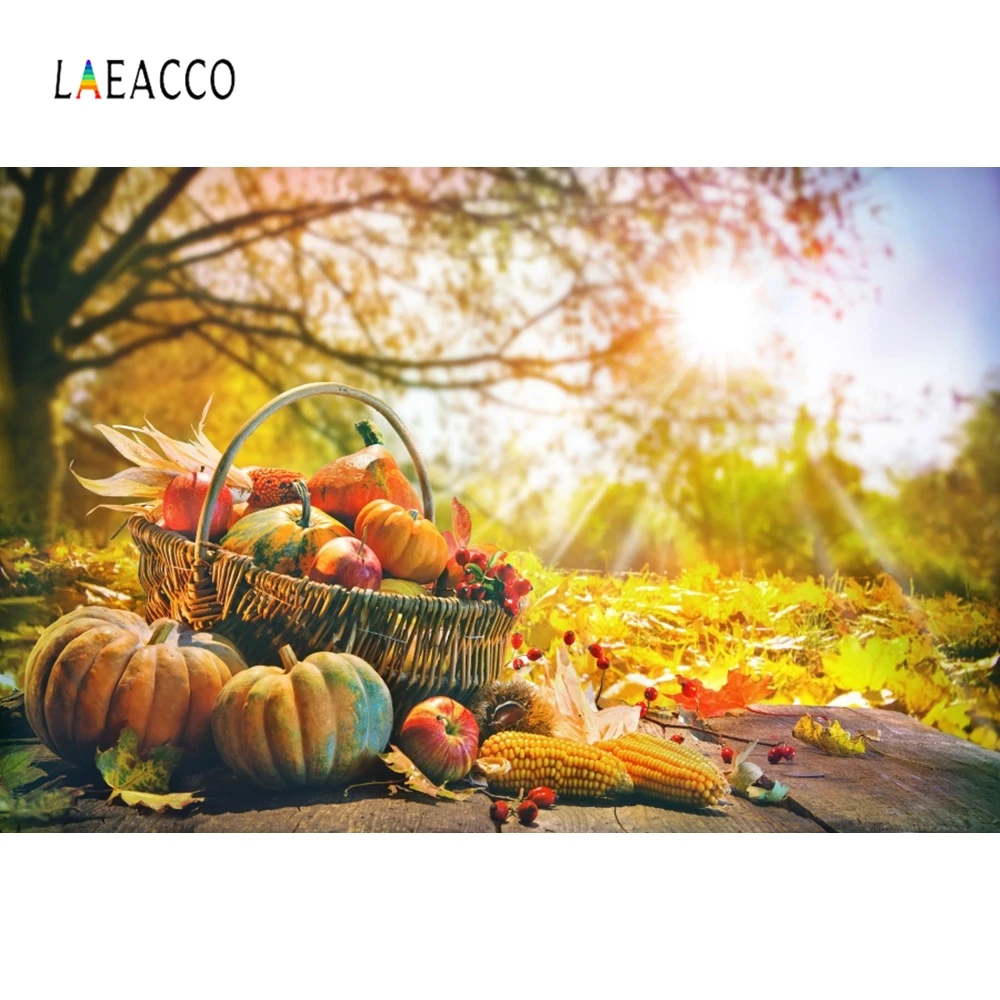 Laeacco Autumn Tree Harvest Food Pumpkin Sun Leaves Photography Backgrounds Customized Photographic Backdrops For Photo Studio
Laeacco Autumn Tree Harvest Food Pumpkin Sun Leaves Photography Backgrounds Customized Photographic Backdrops For Photo Studio