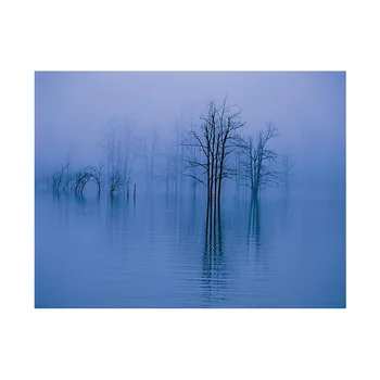 1set 7*5ft/5*3ft Photography Background Cloth Scenary Photo Cloth Frameless Photographic Backdrops for Video Camera Studio
1set 7*5ft/5*3ft Photography Background Cloth Scenary Photo Cloth Frameless Photographic Backdrops for Video Camera Studio