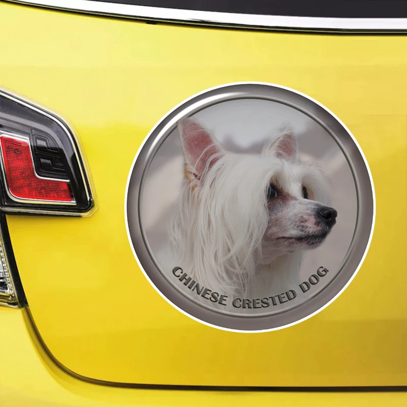 S62115# Chinese Crested Dog Self-adhesive Decal Car Sticker Waterproof Auto Decors on Bumper Rear Window Laptop Choose Size
S62115# Chinese Crested Dog Self-adhesive Decal Car Sticker Waterproof Auto Decors on Bumper Rear Window Laptop Choose Size