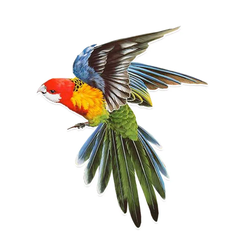 Interesting Pretty Parrot Flight with Open Wings Car Stickers Decals Waterproof Windshield Decals PVC 16cm X 13cm
Interesting Pretty Parrot Flight with Open Wings Car Stickers Decals Waterproof Windshield Decals PVC 16cm X 13cm