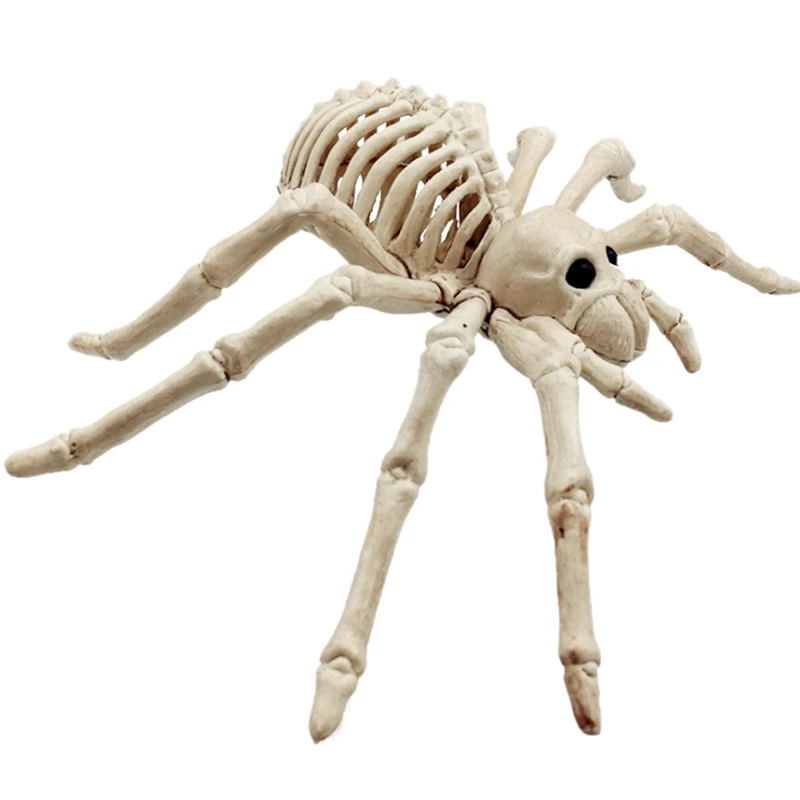 Halloween Skeleton Horror Skeleton Tool Holiday Party Accessories Room Escape Holiday Tricky Gadget Terror Halloween 
Halloween Skeleton Horror Skeleton Tool Holiday Party Accessories Room Escape Holiday Tricky Gadget Terror Halloween
