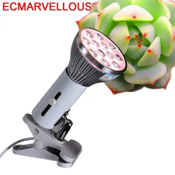 Reef Flower Apollo Cultivo Cob Carpa Hydroponics Groeilampen Coberta For Plant Light Box Indoor Tent LED Grow Growing Lamp
Reef Flower Apollo Cultivo Cob Carpa Hydroponics Groeilampen Coberta For Plant Light Box Indoor Tent LED Grow Growing Lamp