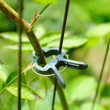 20pcs Durable Plastic Plant Support Clips For Types Plants Hanging Vine Garden Greenhouse Vegetables Garden Ornament Home Garden
20pcs Durable Plastic Plant Support Clips For Types Plants Hanging Vine Garden Greenhouse Vegetables Garden Ornament Home Garden