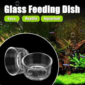 Senzeal Aquarium 4X Crystal Shrimp Feeding Dish Container Glass Reptile Feeding Dish Food Water Bowl Feeder Cup Basin Container
Senzeal Aquarium 4X Crystal Shrimp Feeding Dish Container Glass Reptile Feeding Dish Food Water Bowl Feeder Cup Basin Container