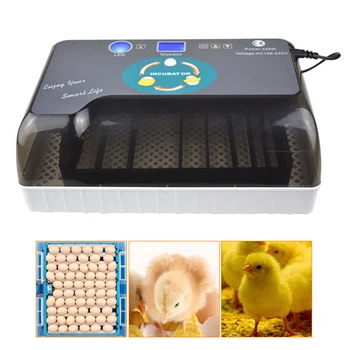 Fully Automatic Home Incubator 12 Egg Incubator Chicken Duck Goose Bird Hatcher Animal Husbandry Practical Incubators LED Lamp
Fully Automatic Home Incubator 12 Egg Incubator Chicken Duck Goose Bird Hatcher Animal Husbandry Practical Incubators LED Lamp