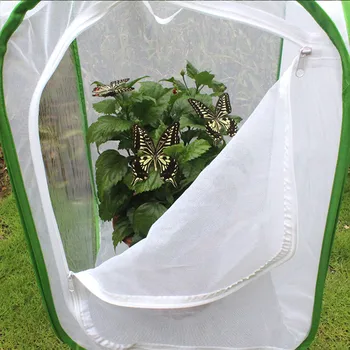 Newly Foldable Insect Habitat Cage Seedling Plant Light Transmission Net Tent Greenhouse
Newly Foldable Insect Habitat Cage Seedling Plant Light Transmission Net Tent Greenhouse