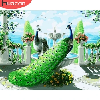 HUACAN Painting By Numbers Peacock Animal Drawing On Canvas HandPainted Painting Art Gift DIY Pictures By Number Kits Home Decor
HUACAN Painting By Numbers Peacock Animal Drawing On Canvas HandPainted Painting Art Gift DIY Pictures By Number Kits Home Decor