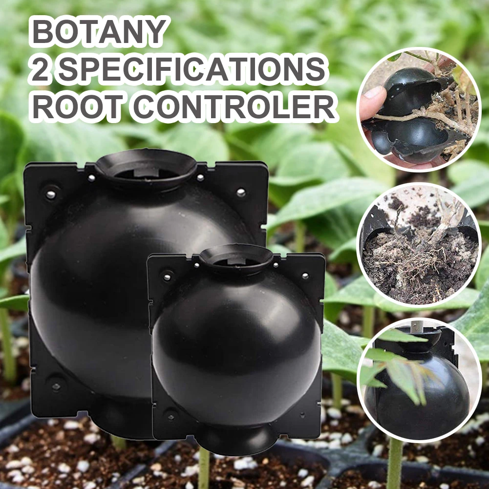 5pcs Plant Rooting Ball Grafting Rooting Growing Box Breeding Case Protect Plant Roots Propagation Box Sapling For Garden
5pcs Plant Rooting Ball Grafting Rooting Growing Box Breeding Case Protect Plant Roots Propagation Box Sapling For Garden
