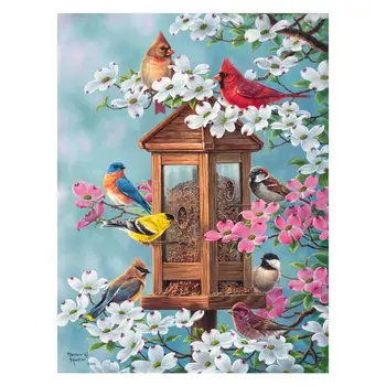 Frameless Bird Eating Food Digital Oil Painting By Numbers Canvas Wall Picture DIY Decor Wall Artwork for Adults Beginner
Frameless Bird Eating Food Digital Oil Painting By Numbers Canvas Wall Picture DIY Decor Wall Artwork for Adults Beginner