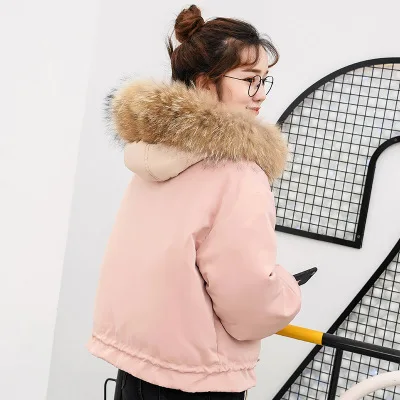 Winter Women Jacket Coats New Fashion Short Duck Down Jacket Raccoon Fur Students Warm Parkas Lady Clothing LX2249
Winter Women Jacket Coats New Fashion Short Duck Down Jacket Raccoon Fur Students Warm Parkas Lady Clothing LX2249