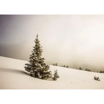 Vinyl Custom Photography Backdrops Snow Winter Theme Photography Background YA20721-03
Vinyl Custom Photography Backdrops Snow Winter Theme Photography Background YA20721-03