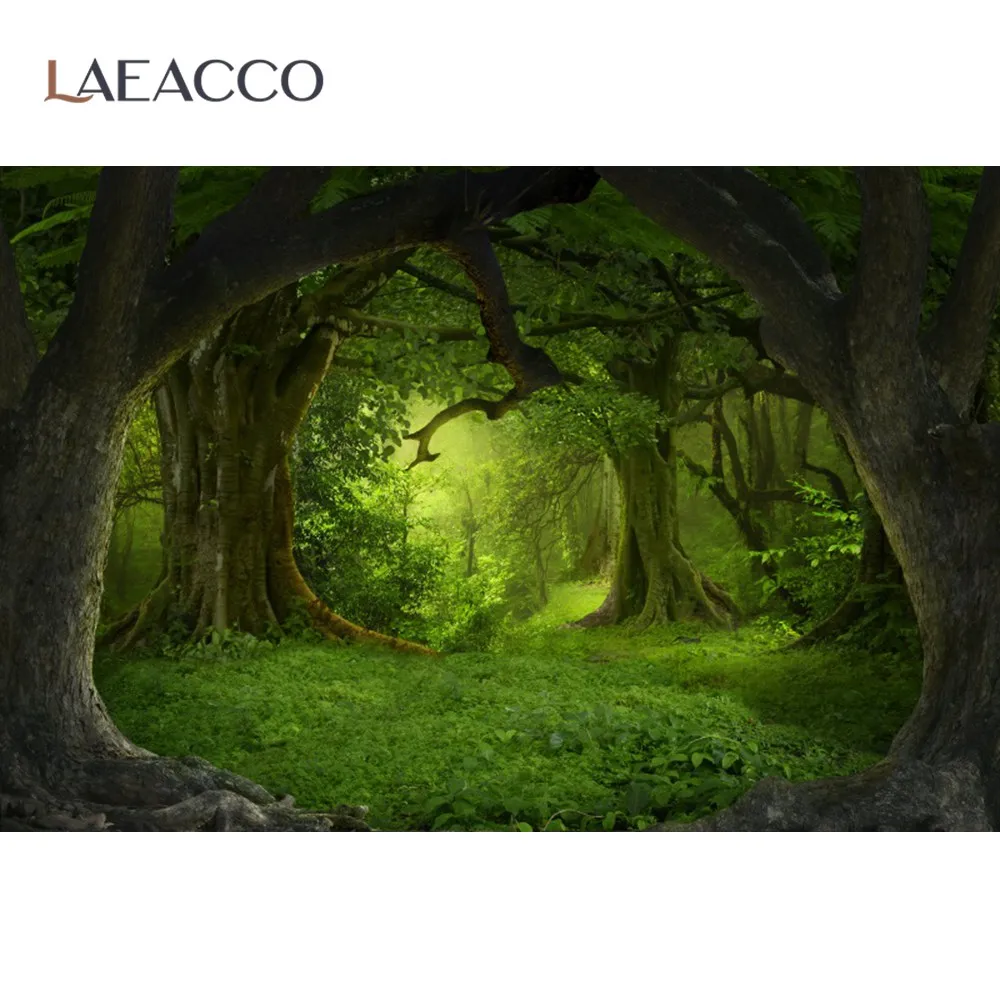 Forest Backgrounds For Photography Green Tree Old Rain Forest Moss Shrub Natural Scenic Photo Backdrop Photocall Photo Studio
Forest Backgrounds For Photography Green Tree Old Rain Forest Moss Shrub Natural Scenic Photo Backdrop Photocall Photo Studio