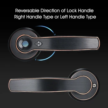 Electric Smart Door Lock Biometric Fingerprint Lock Stainless Steel Intelligent Anti-Theft Hardware Security Lock with Deadbolt
Electric Smart Door Lock Biometric Fingerprint Lock Stainless Steel Intelligent Anti-Theft Hardware Security Lock with Deadbolt
