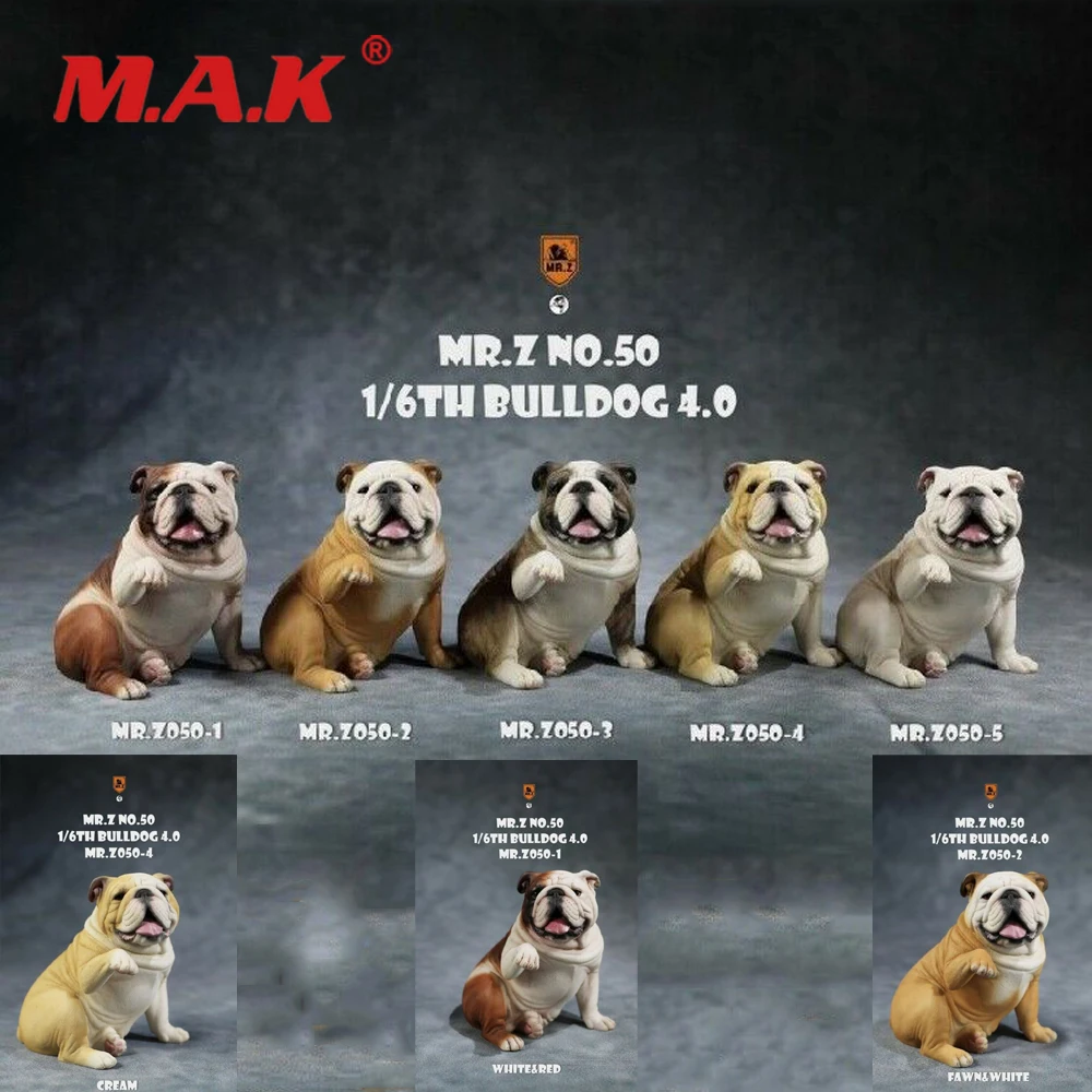 MRZ050 Mr.Z 1/6 Bulldog V4.0 Resin Dog Animal Figure Scene Decoration Cute Dogs For Collection In Stock
MRZ050 Mr.Z 1/6 Bulldog V4.0 Resin Dog Animal Figure Scene Decoration Cute Dogs For Collection In Stock