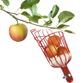 Classic Texture Metal Fruit Picker Practical Multi-functional Gardening Apples Pears Peaches Oranges Fruits Garden Tools
Classic Texture Metal Fruit Picker Practical Multi-functional Gardening Apples Pears Peaches Oranges Fruits Garden Tools