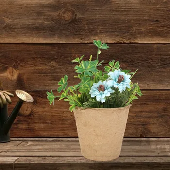 Plant Nursery Seedling Starter Cup Kit Home Cultivation Biodegradable Paper Pot Growing Box Round Pot Container
Plant Nursery Seedling Starter Cup Kit Home Cultivation Biodegradable Paper Pot Growing Box Round Pot Container