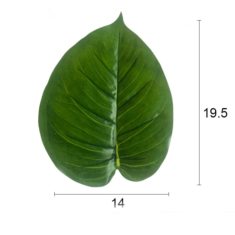 11167267493_1493019570