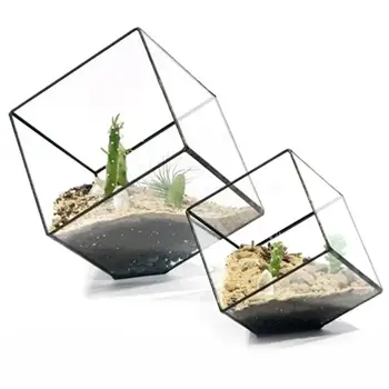 New Geometric Cubes Glass Terrarium Home Decor Plant Fleshy Flower Holder Vase Pot 
New Geometric Cubes Glass Terrarium Home Decor Plant Fleshy Flower Holder Vase Pot