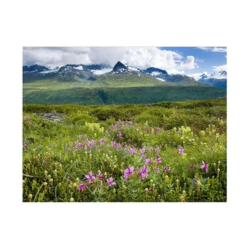 1set 7*5ft/5*3ft Photography Background Cloth Nature Scenary Photo Cloth Photographic Backdrops for Camera Studio
1set 7*5ft/5*3ft Photography Background Cloth Nature Scenary Photo Cloth Photographic Backdrops for Camera Studio