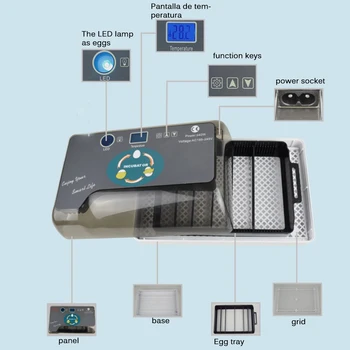 Farm Hatchery Hatching Machine Cheap Price Automatic Egg Hatching Machine Bird Quail Brooding Machine
Farm Hatchery Hatching Machine Cheap Price Automatic Egg Hatching Machine Bird Quail Brooding Machine