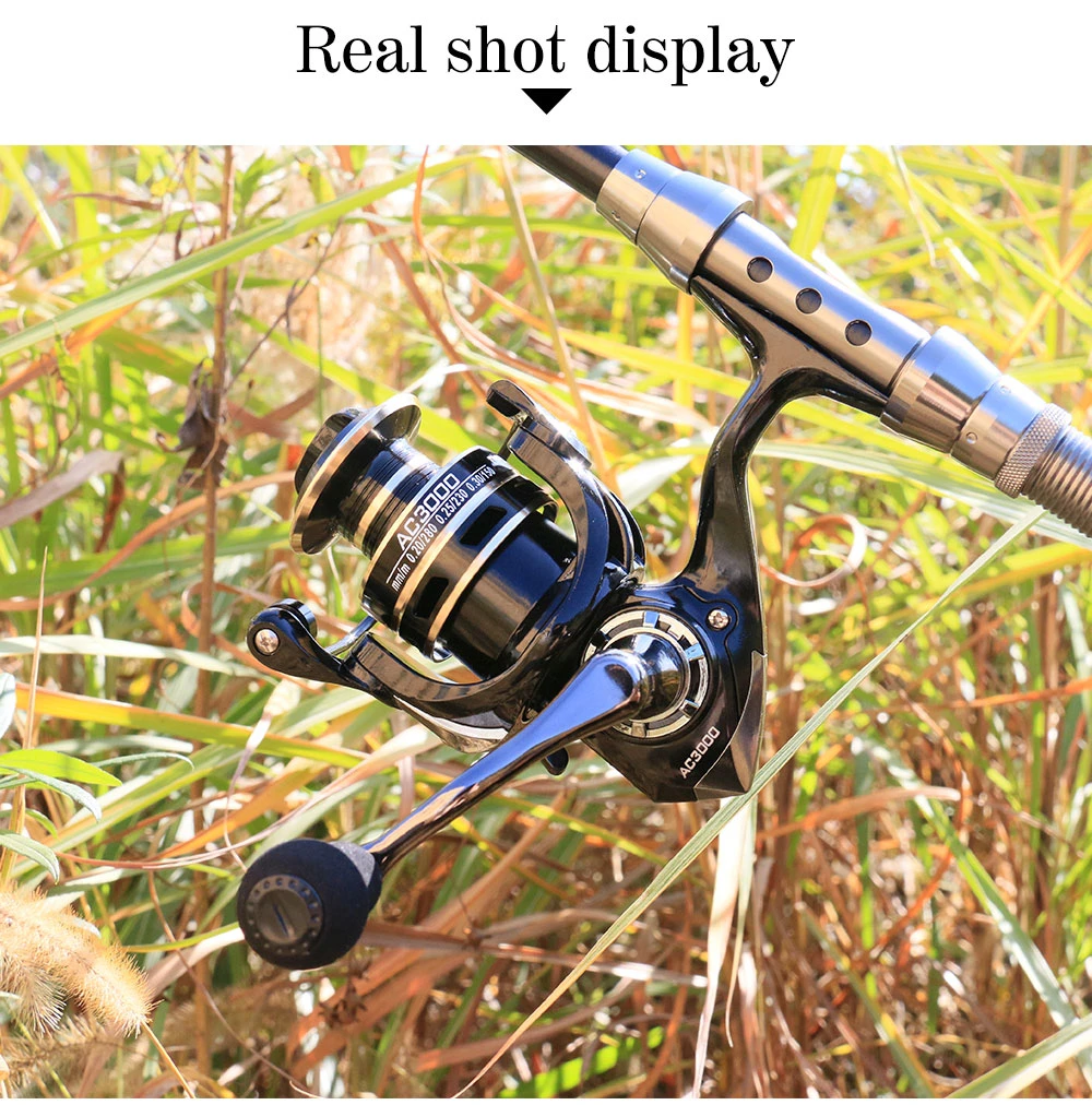 13+1BB Spinning Reel with Free Spool Fishing Reel 5.1:1 5.5:1 Gear Ratio Spinning  Reel Carp Fishing Reel (Size : 2000 Series) (5000 Series), Spinning Reels -   Canada