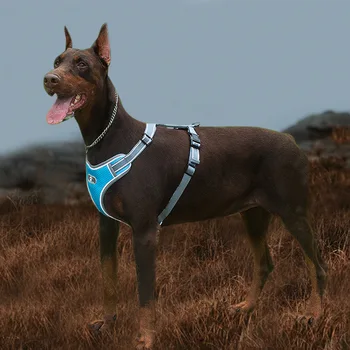 Explosion-proof Large Dog Harness Vest Reflective big dog Chest Strap Harnesses soft mesh dog Lead for small Medium Large Dogs
Explosion-proof Large Dog Harness Vest Reflective big dog Chest Strap Harnesses soft mesh dog Lead for small Medium Large Dogs