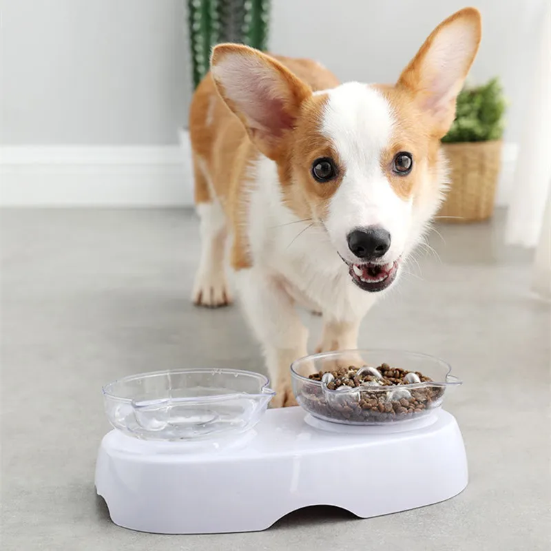 Double Cat Bowls Pet Dining Table Oblique Stand Perfect for Cat's and Small Dog's Healthier Eating Posture Dog Bowl 23 AugO3
Double Cat Bowls Pet Dining Table Oblique Stand Perfect for Cat's and Small Dog's Healthier Eating Posture Dog Bowl 23 AugO3