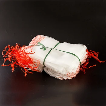 Fig Cover Bag Fruit Barrier Cover Bags Netting Bags 10PCS Nylon Mesh Bag Garden Tool Flower Seed Bag
Fig Cover Bag Fruit Barrier Cover Bags Netting Bags 10PCS Nylon Mesh Bag Garden Tool Flower Seed Bag