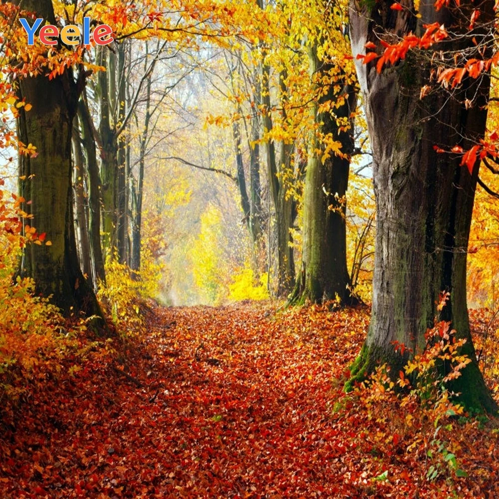 Yeele Photography Autumn Backdrop Forest Red Leaves Tree Baby Shower Children Background For Photo Studio Photocall Photophone
Yeele Photography Autumn Backdrop Forest Red Leaves Tree Baby Shower Children Background For Photo Studio Photocall Photophone