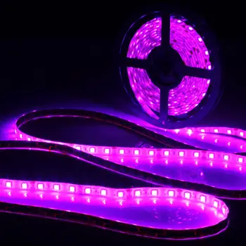 0.5/1/2/3/4/5M Waterproof IP65 UV Lamp Ultraviolet Purple Led Strip Light 12V DC 5050 SMD Black LED Lamp 395-405nm strip light
0.5/1/2/3/4/5M Waterproof IP65 UV Lamp Ultraviolet Purple Led Strip Light 12V DC 5050 SMD Black LED Lamp 395-405nm strip light
