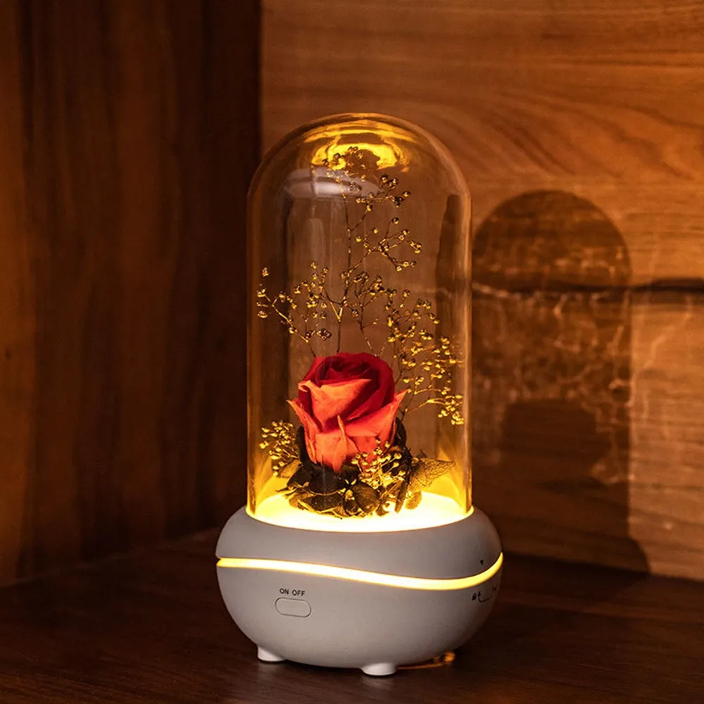 Home Decoration Night Lamp Eternal Flower Aromatherapy Lamp Built In USB Rechargeable Battery Colorful Night Light Best Gift
Home Decoration Night Lamp Eternal Flower Aromatherapy Lamp Built In USB Rechargeable Battery Colorful Night Light Best Gift