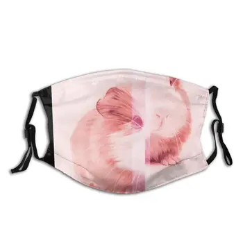 protective mask with filter Guinea Pig Family anti dust PM2.5 reuse adult teen child girl
protective mask with filter Guinea Pig Family anti dust PM2.5 reuse adult teen child girl