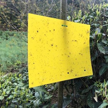 60 Pcs Double-sided Yellow Glue Fruit Fly Bug Killer Sticky Traps for Flying Insect Plant Dropshipping Tools Gardening
60 Pcs Double-sided Yellow Glue Fruit Fly Bug Killer Sticky Traps for Flying Insect Plant Dropshipping Tools Gardening