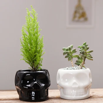 Charming Black White Ceramic Flowerpot Creative Skull Shaped Succulent Plant Pot Home Simple Desktop Balcony Decorations
Charming Black White Ceramic Flowerpot Creative Skull Shaped Succulent Plant Pot Home Simple Desktop Balcony Decorations