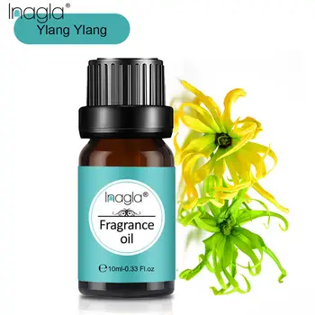 Inagla Ylang Ylang Fragrance Essential Oils 10ml Pure Plant Fruit Oil For Aromatic Aromatherapy Diffusers Juniper Citronella Oil
Inagla Ylang Ylang Fragrance Essential Oils 10ml Pure Plant Fruit Oil For Aromatic Aromatherapy Diffusers Juniper Citronella Oil