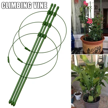 Climbing Plant Support Cage Garden Trellis Flowers Stand Rings Tomato Support UD88
Climbing Plant Support Cage Garden Trellis Flowers Stand Rings Tomato Support UD88